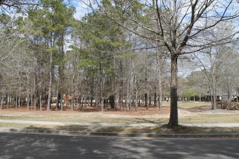 228 Comiskey Park Circle Summerville SC 29485