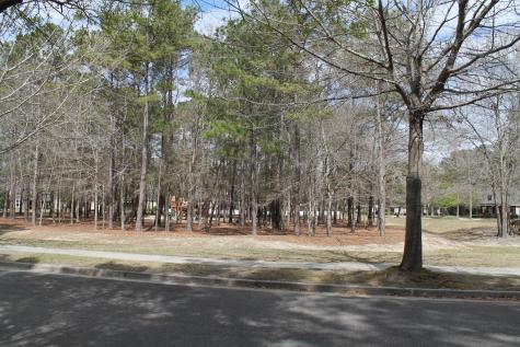 228 Comiskey Park Circle Summerville SC 29485