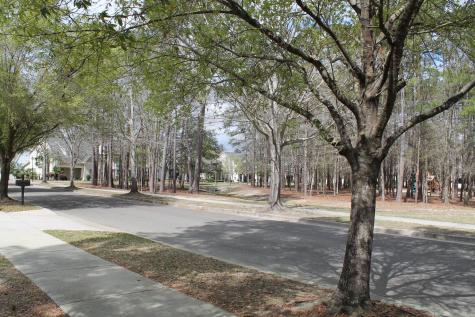 228 Comiskey Park Circle Summerville SC 29485