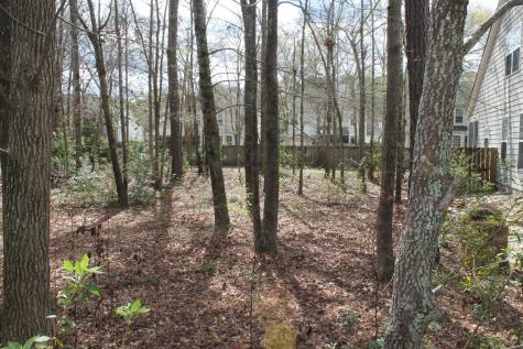 228 Comiskey Park Circle Summerville SC 29485