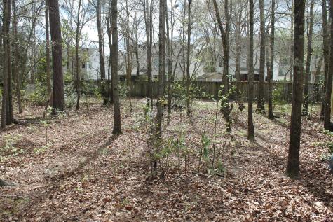 228 Comiskey Park Circle Summerville SC 29485