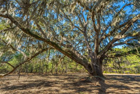4129 Gnarled Oaks Lane Johns Island SC 29455