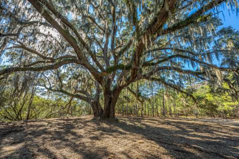 4129 Gnarled Oaks Lane Johns Island SC 29455