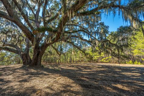 4129 Gnarled Oaks Lane Johns Island SC 29455