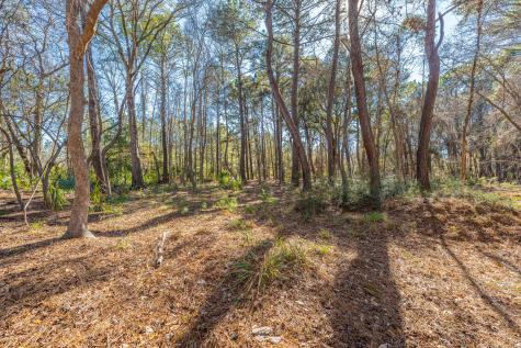 4129 Gnarled Oaks Lane Johns Island SC 29455