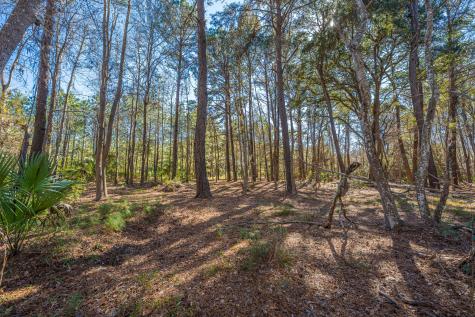 4129 Gnarled Oaks Lane Johns Island SC 29455