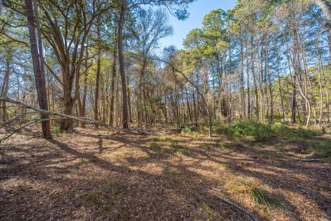 4129 Gnarled Oaks Lane Johns Island SC 29455