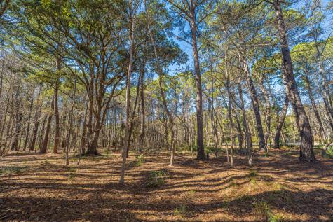 4129 Gnarled Oaks Lane Johns Island SC 29455