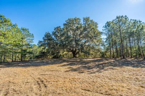 4129 Gnarled Oaks Lane Johns Island SC 29455
