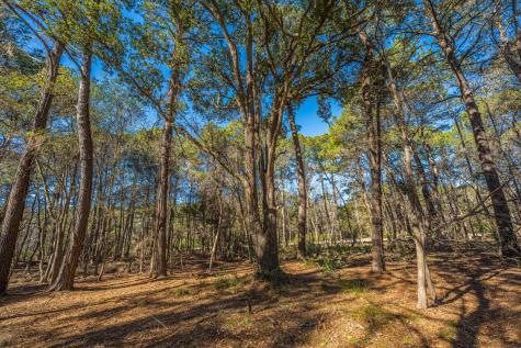 4129 Gnarled Oaks Lane Johns Island SC 29455