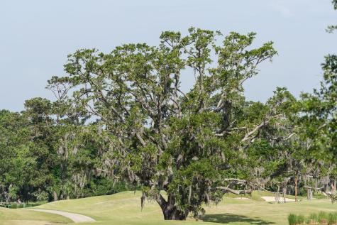 4129 Gnarled Oaks Lane Johns Island SC 29455