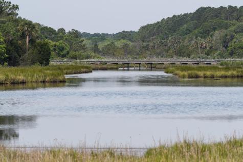 4129 Gnarled Oaks Lane Johns Island SC 29455