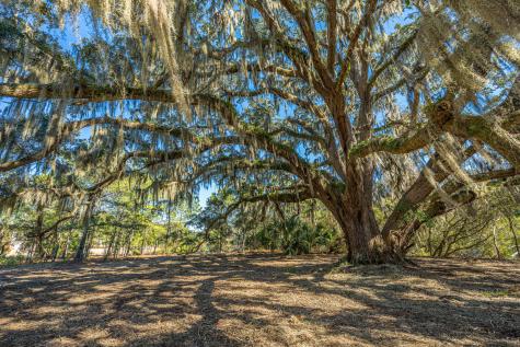 4129 Gnarled Oaks Lane Johns Island SC 29455