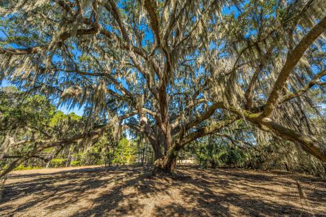 4129 Gnarled Oaks Lane Johns Island SC 29455