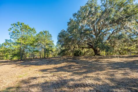4129 Gnarled Oaks Lane Johns Island SC 29455