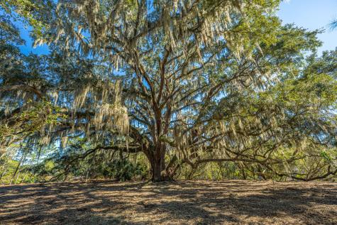 4129 Gnarled Oaks Lane Johns Island SC 29455