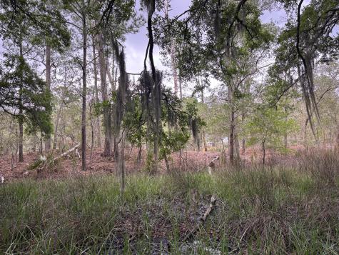 0 River Road Johns Island SC 29455