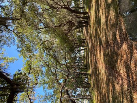 101 Kingston Key Road Saint Helena Island SC 29920