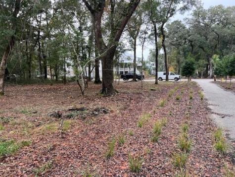 4013 Chantey Crest Johns Island SC 29455