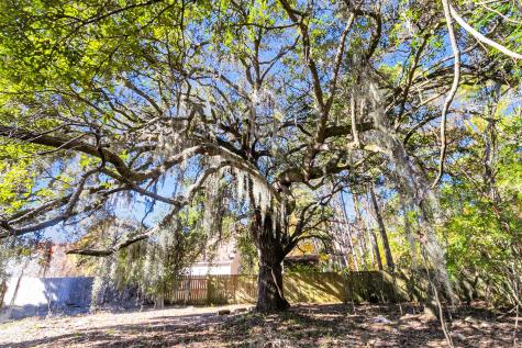 1410 Jefferson Road Mount Pleasant SC 29466