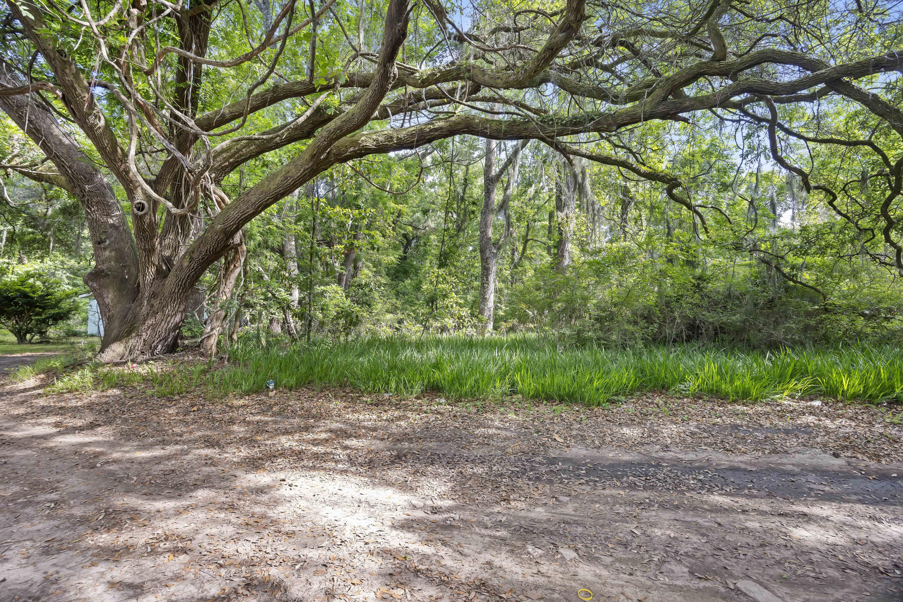 2496 Boy Scout Road Wadmalaw Island SC 29487