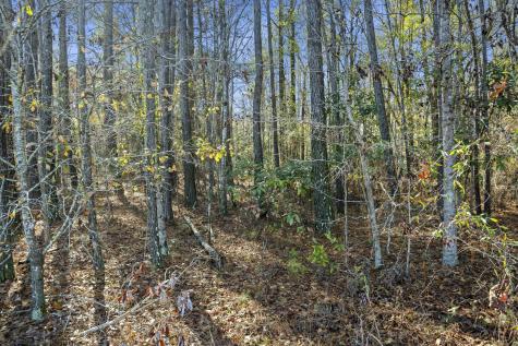 123 State Road Summerville SC 29486