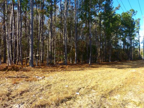 123 State Road Summerville SC 29486