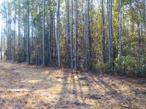 123 State Road Summerville SC 29486