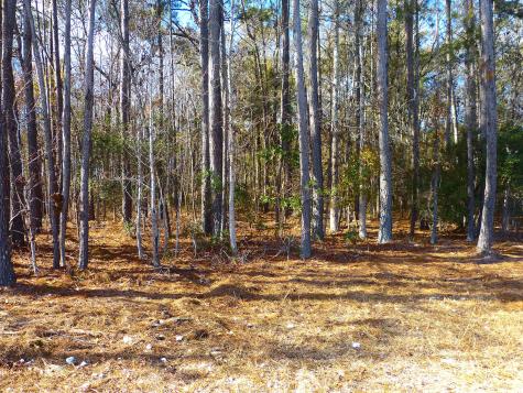 123 State Road Summerville SC 29486