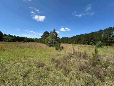 8441 Willtown Road Hollywood SC 29449