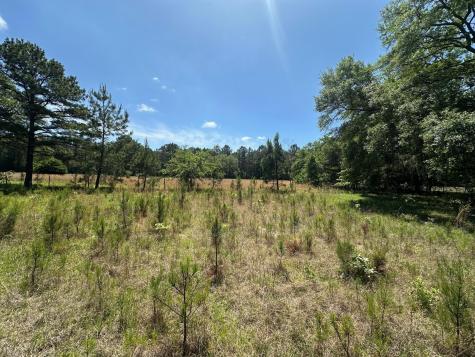 8441 Willtown Road Hollywood SC 29449
