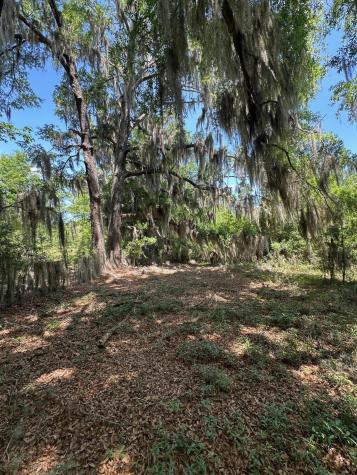 8441 Willtown Road Hollywood SC 29449