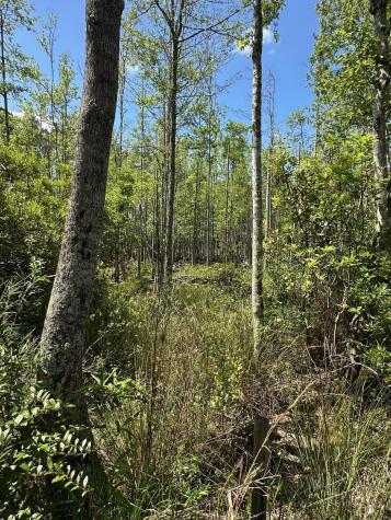 8441 Willtown Road Hollywood SC 29449