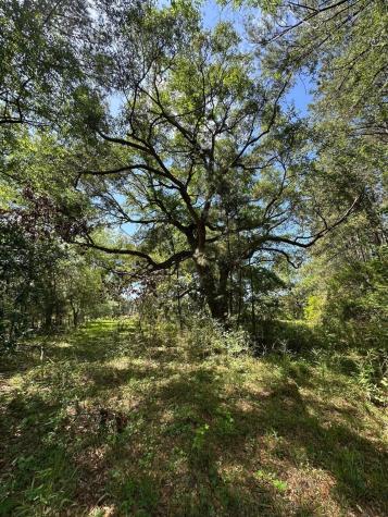 8441 Willtown Road Hollywood SC 29449