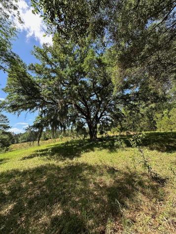 8441 Willtown Road Hollywood SC 29449