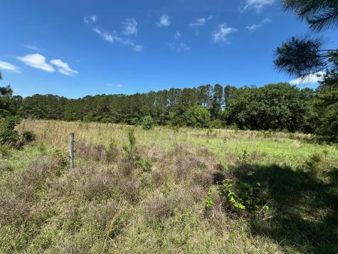 8441 Willtown Road Hollywood SC 29449