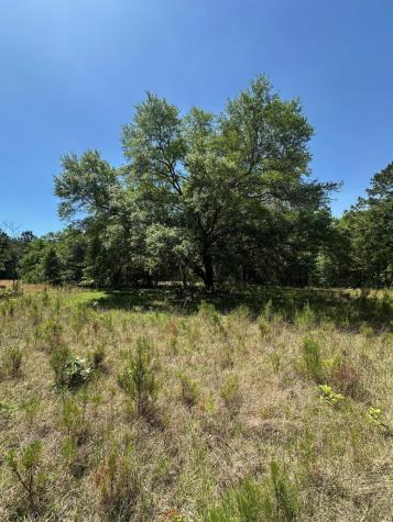 8441 Willtown Road Hollywood SC 29449