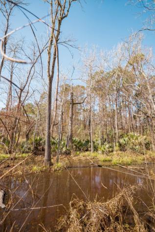 4294 River Road Johns Island SC 29455
