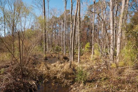 4294 River Road Johns Island SC 29455