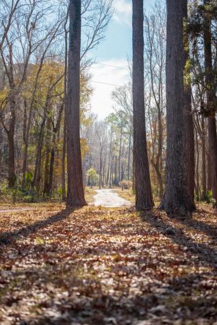 4294 River Road Johns Island SC 29455