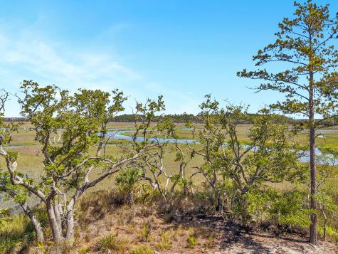 314 River Oak Mount Pleasant SC 29464