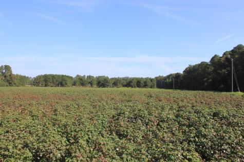 0 Old Highway 6 Santee SC 29142