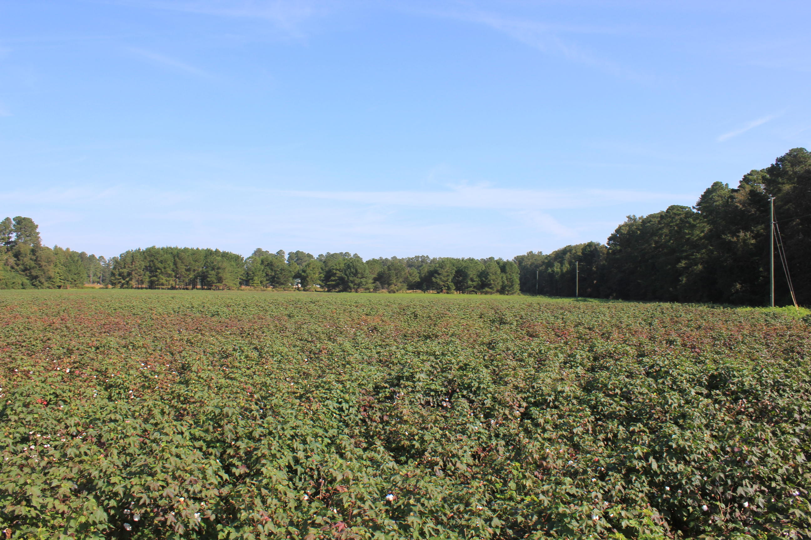 0 Old Highway 6 Santee SC 29142