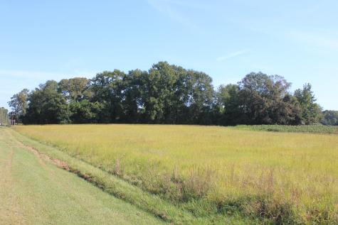 0 Old Highway 6 Santee SC 29142