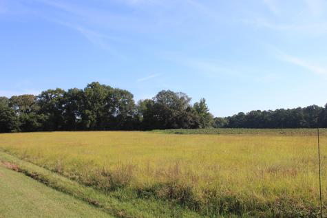0 Old Highway 6 Santee SC 29142
