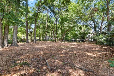 0 Toler Drive Mount Pleasant SC 29464