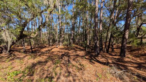 0 River Road Johns Island SC 29455