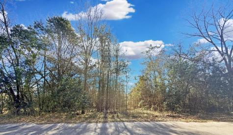 475 Coleman Avenue Orangeburg SC 29115