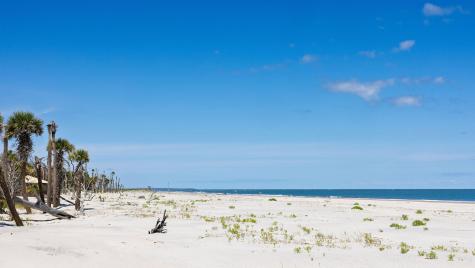 287 Pelican Flight Drive Dewees Island SC 29451