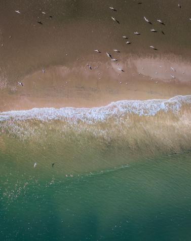 287 Pelican Flight Drive Dewees Island SC 29451